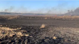 Підпалив очерет: з вини волинянина вигоріло понад 100 гектарів землі (фото, відео)