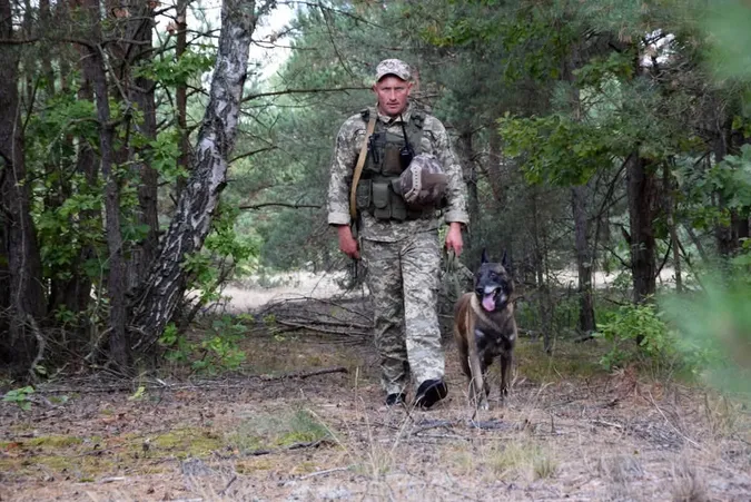 Микола та Агрес: як кінолог і його чотирилапий напарник охороняють кордон із Білоруссю (фото)