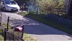 В Іваничах бійцівський собака напав на 7-річну дівчинку (відео 18+)