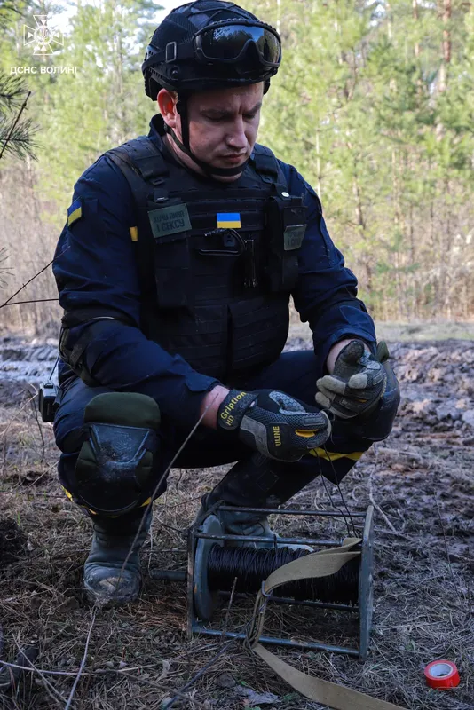 Поблизу села на Волині, де на смерть підірвалися троє людей, знайшли 167 боєприпасів (фото)
