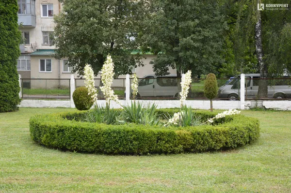 Усе безкоштовно: як у Луцькому пологовому народити дитину без болю