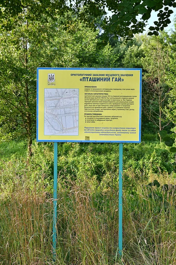 Гніздо посеред Луцька: як болотиста заплава стала «Пташиним гаєм» (фото)