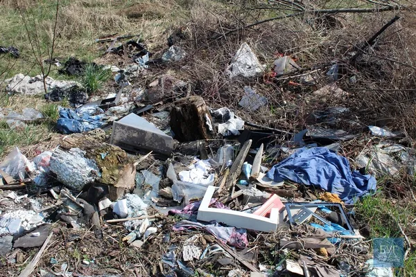 Околицю волинського міста закидали сміттям (фото)