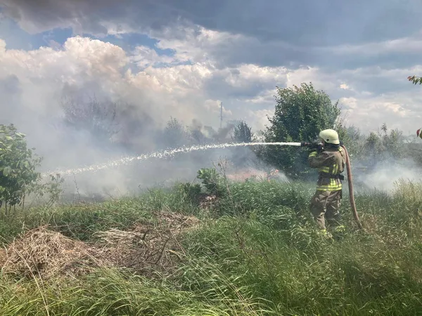На Волині через грозу загорівся хлів, де були свині (фото)