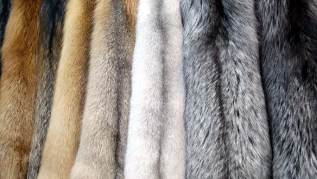 Versace відмовляється від використання натурального хутра
