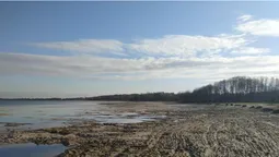 Опублікували свіжі фото обмілілого Світязю