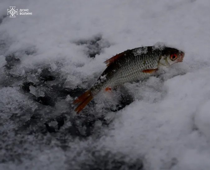 У Луцьку до рибалок на Теремнівських ставках завітали водолази (фото)