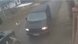Чоловіка забрали, а собака лишився на дорозі: у Волинському ТЦК розповіли, що відбулося (відео)