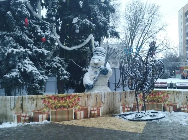 Луцьк новорічний: у скільки обійшлися прикрашені ялинки (фото)