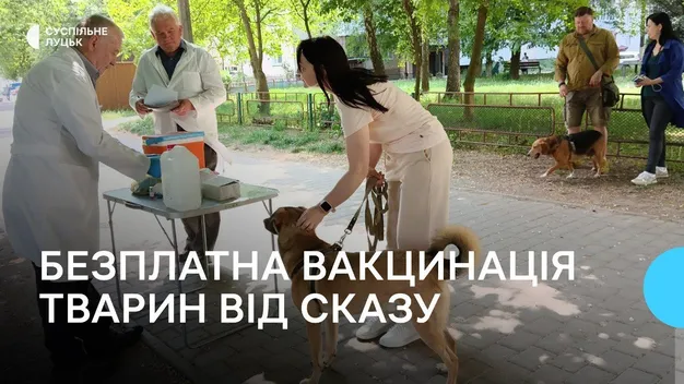 І котиків, і собачок: у Луцьку безплатно вакцинують домашніх тварин від сказу (фото, відео)