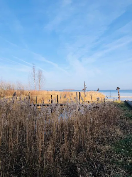 Казковий Світязь: показали свіжі фото зимового озера