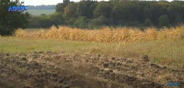 Через воєнний стан волинянин не може забрати паї в орендаря (відео)
