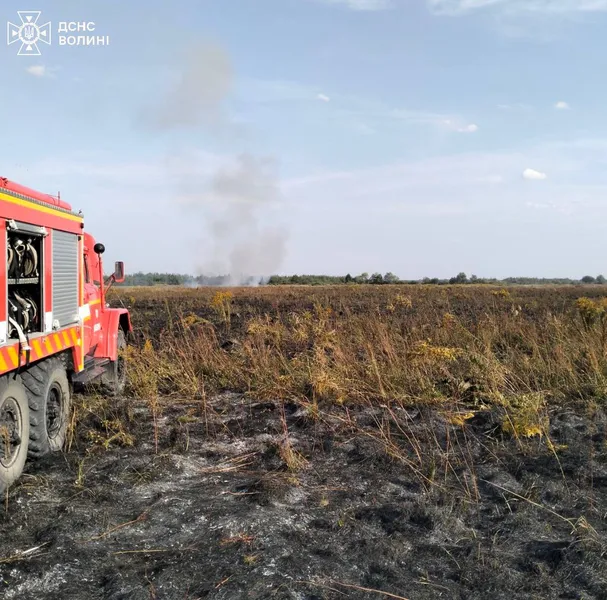 Горіли суха трава і торф: на Волині упродовж 13 годин гасили пожежу (фото)
