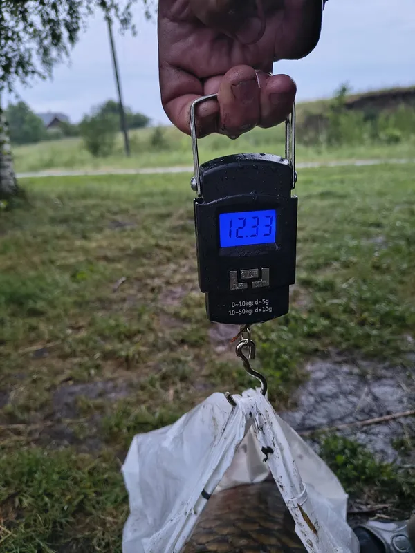 На Рівненщині любителька риболовлі впіймала гігантського коропа на 12,3 кг (фото)