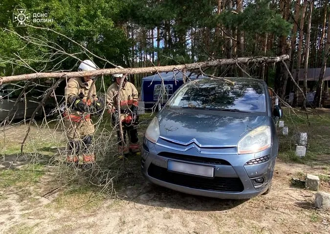 У селі на Волині дерево впало на легковик: на місце викликали рятувальників (фото)