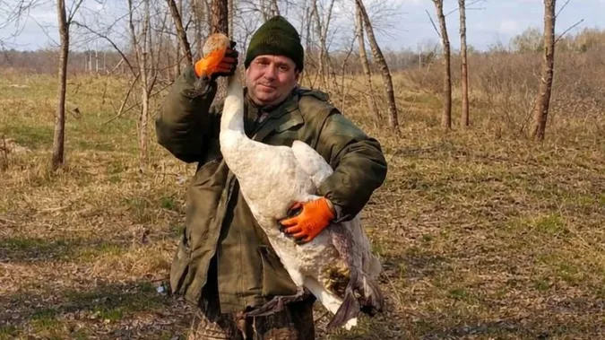 У Чорнобильському заповіднику врятували лебедя, який заплутався у колючому дроті