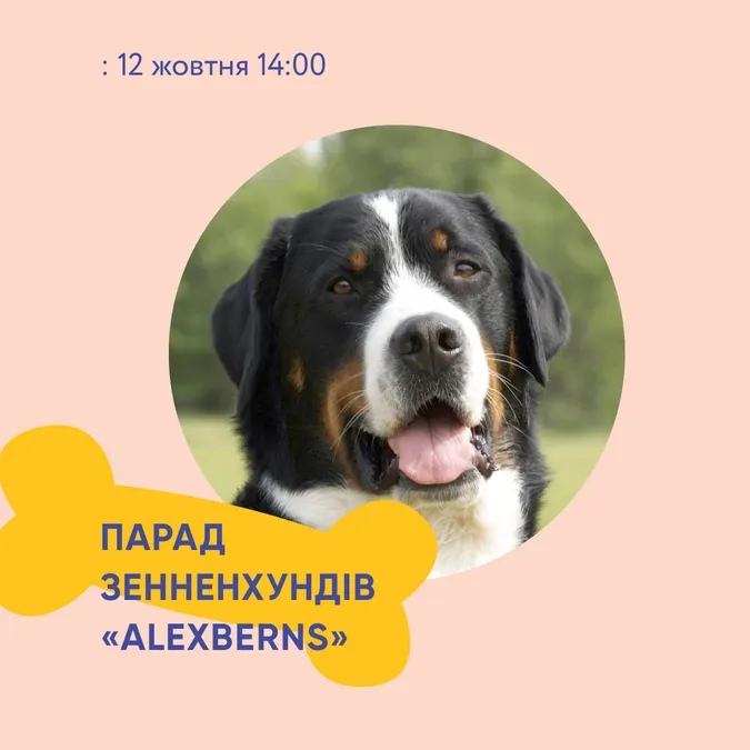 Лучан запрошують на парад зенненхундів*