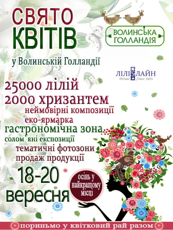 Волинська Голландія влаштовує осіннє свято хризантем і лілій