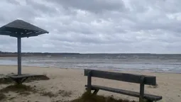 Крижаний берег і таємнича глибина: показали фото зимового Світязю