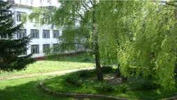 Освіта в тренді: Луцька ЗОШ №15