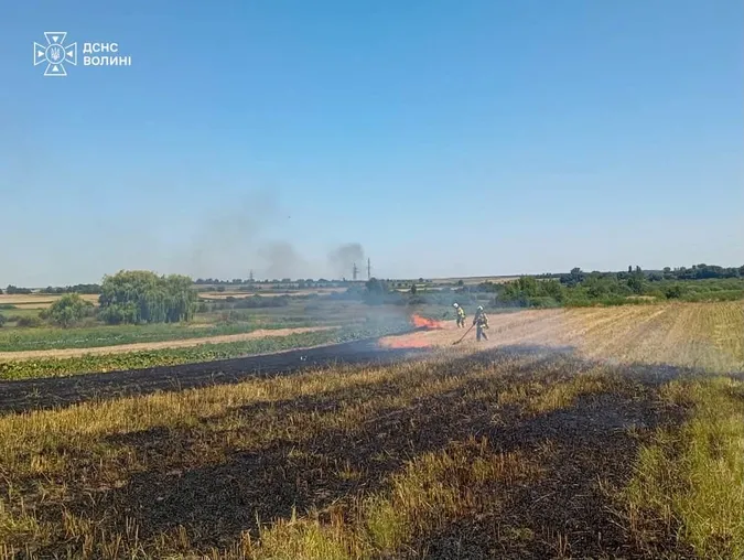 Палала суха трава і стерня: на Волині за добу ліквідували чотири пожежі (фото)