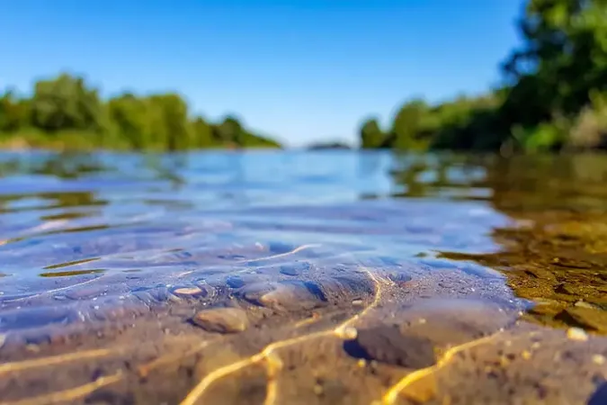 Фото ілюстративне