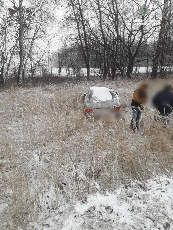 На ковельській трасі іномарка «злетіла» у кювет (фото)