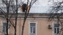 Луцький військовий госпіталь відновив роботу після пожежі (фото)