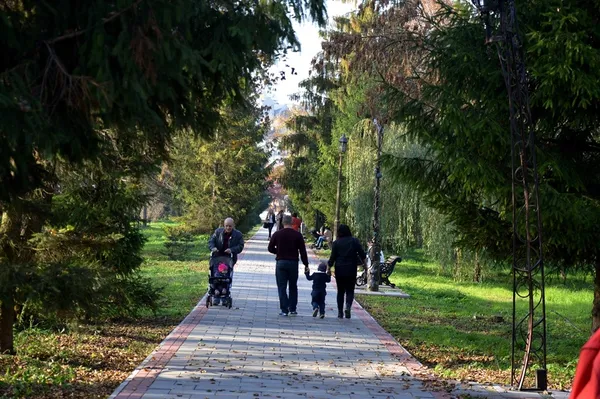 У Луцьку відкрили «відкриті» алейки у центральному парку (фото)