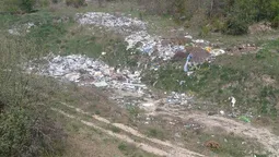 Неподалік від Луцька виявили стихійне сміттєзвалище (фото) 