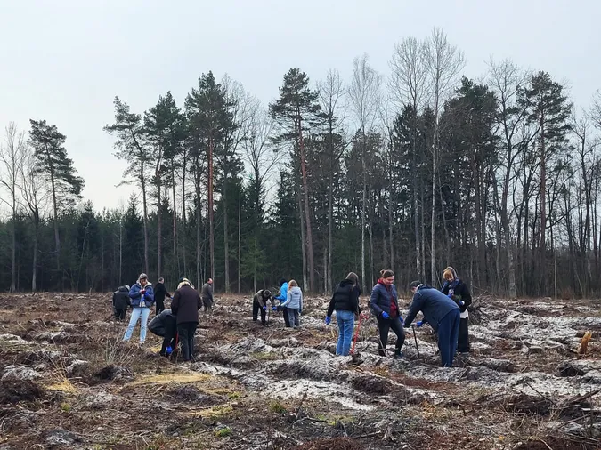 У Ковельській громаді висадили майже 2 гектари лісу (фото)