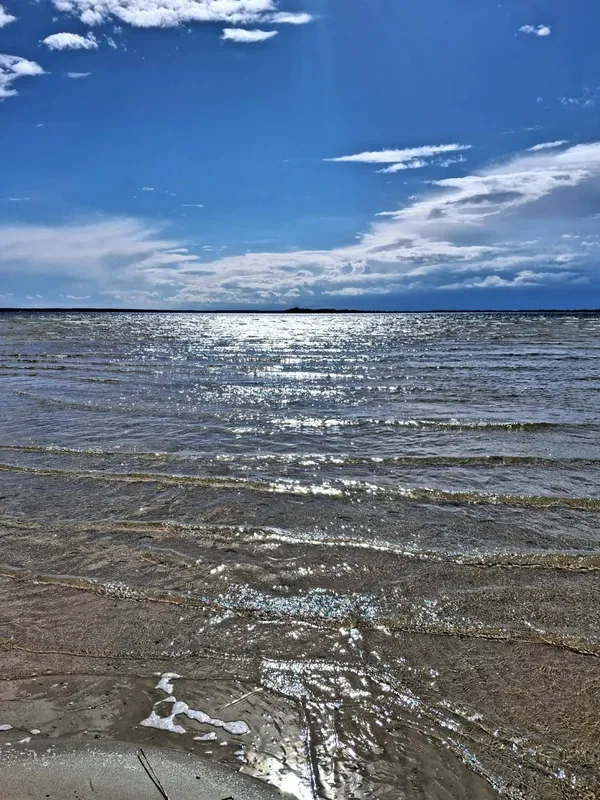 Світязь вразив незвичним видовищем: вода в озері стала схожою на рідке срібло (фото)