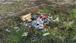 Сотня чорних пакетів: на Шацьких озерах влаштували велике прибирання (фото)