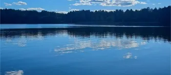 У нетрях Полісся причаїлося містичне чудодійне цілюще озеро з кришталевими водами (фото)