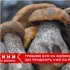 На ринку в Луцьку – грибний ажіотаж: які продають гриби і скільки коштує кілограм (відео)