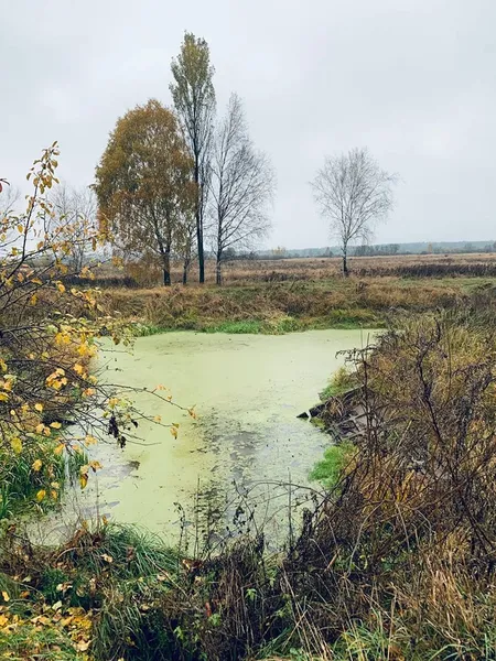 На Волині знайшли місце народження Прип'яті (фото)