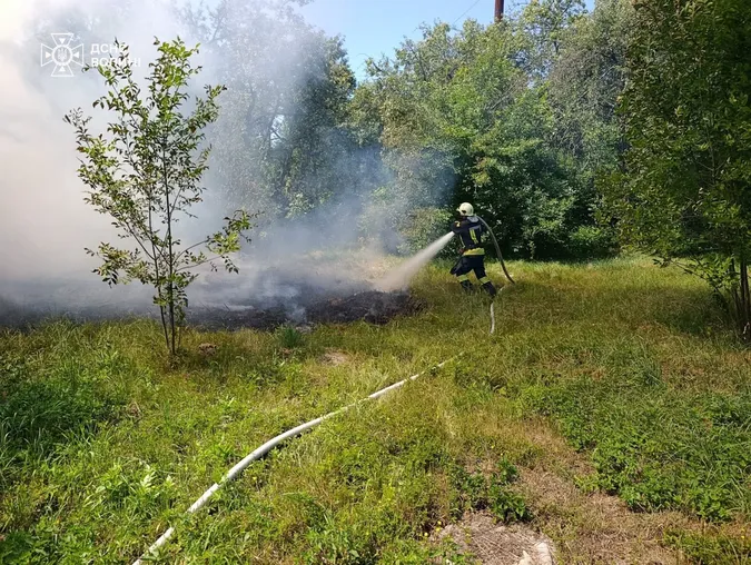 За добу на Волині вогонь знищив пів гектара рослин (фото)