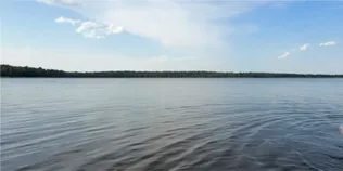 На Поліссі причаїлось озеро з безлюдними пляжами та неймовірними містичними лісами поруч (відео)