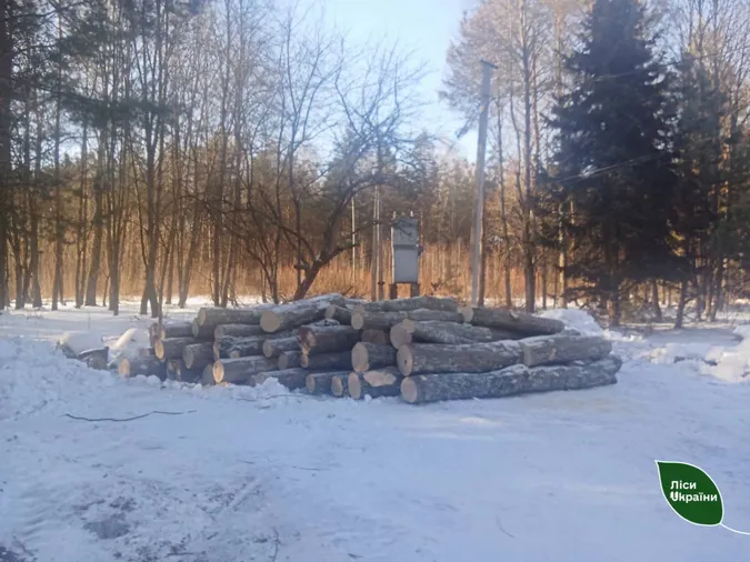 У Луцькому районі зловили ЗІЛ із нелегальною деревиною на 120 тисяч гривень (фото)