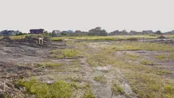 На Волині прокурори й демобілізовані військові сперечаються через землю