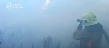 Три пожежі в одному районі: на Волині горіло 2 га чагарників (фото)