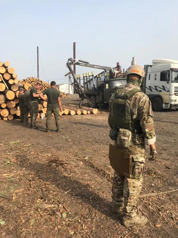 На Волині лісопереробник зберігав 4000 незаконно зрубаних дерев (фото, відео)