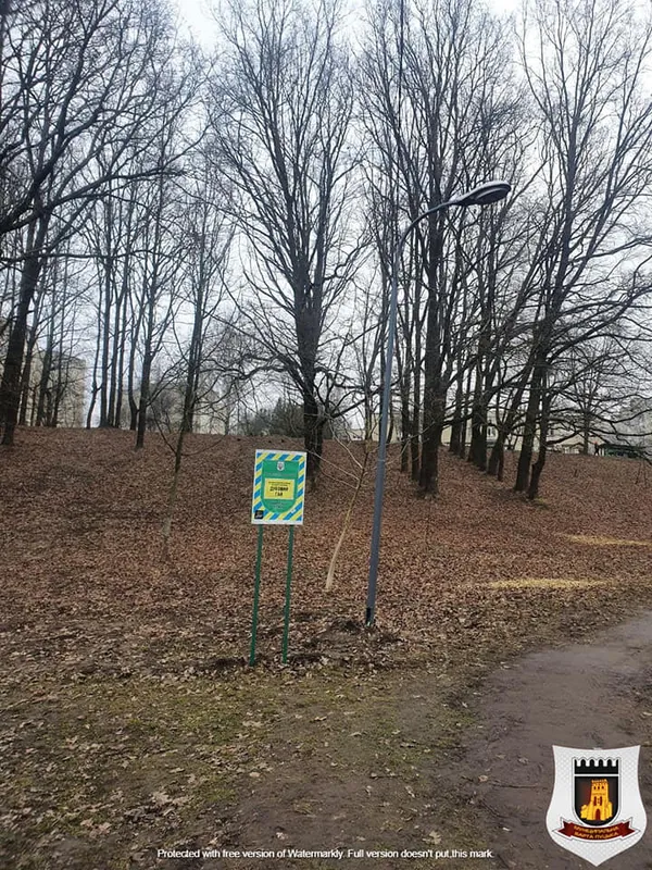 Зламані ліхтарі та пошкоджені лавки: «Дубовий гай» у Луцьку візьмуть під відеонагляд (фото)