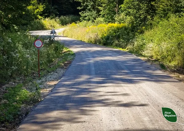 Волинь серед лідерів з будівництва лісових доріг (фото)