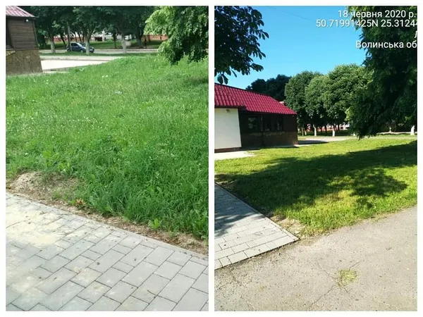 Не вище 15 сантиметрів: лучан змусили скосити траву (фото)