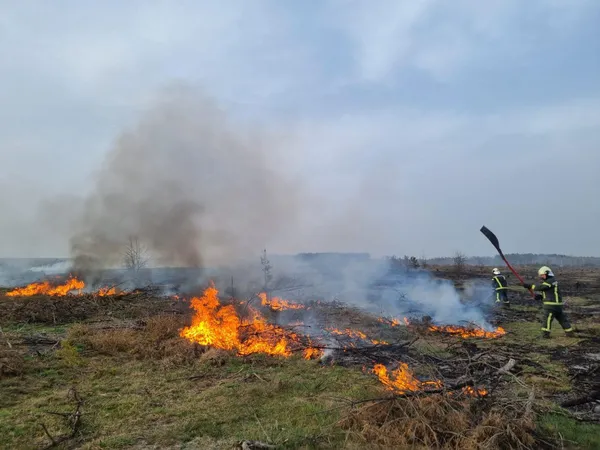 У Луцькому районі горіли півтора гектара сухостою (фото)