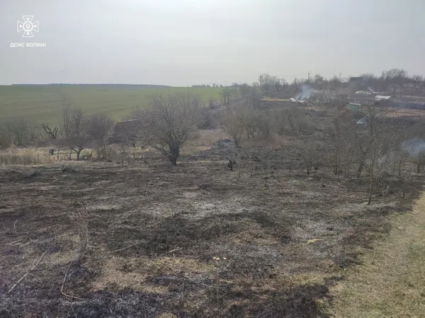 Під Луцьком спіймали палійку: жінка спалила 3 гектари сухостою (фото)