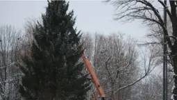 У Нововолинську встановили новорічну ялинку (фото)
