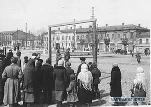 У Луцьку встановили зволожувачі: порівнюють із шибеницею (фото)