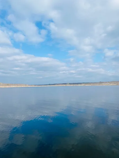 На Волині знайшли унікальну екосистему (фото)
